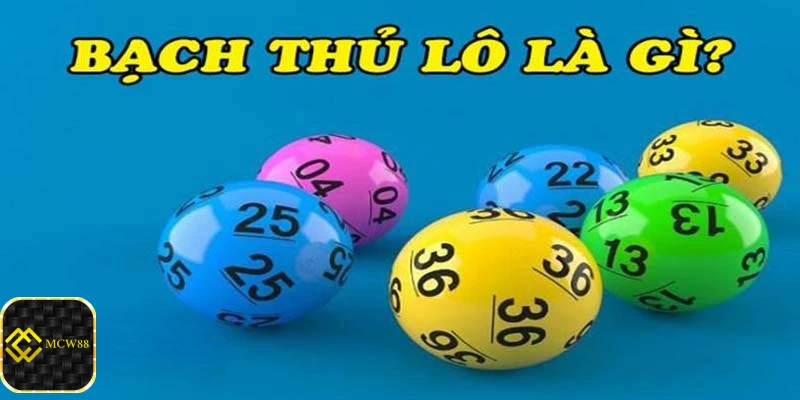 Bạch thủ lô là gì